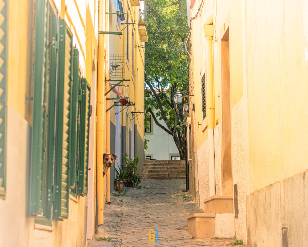 Lisbon, Portugal, street photography