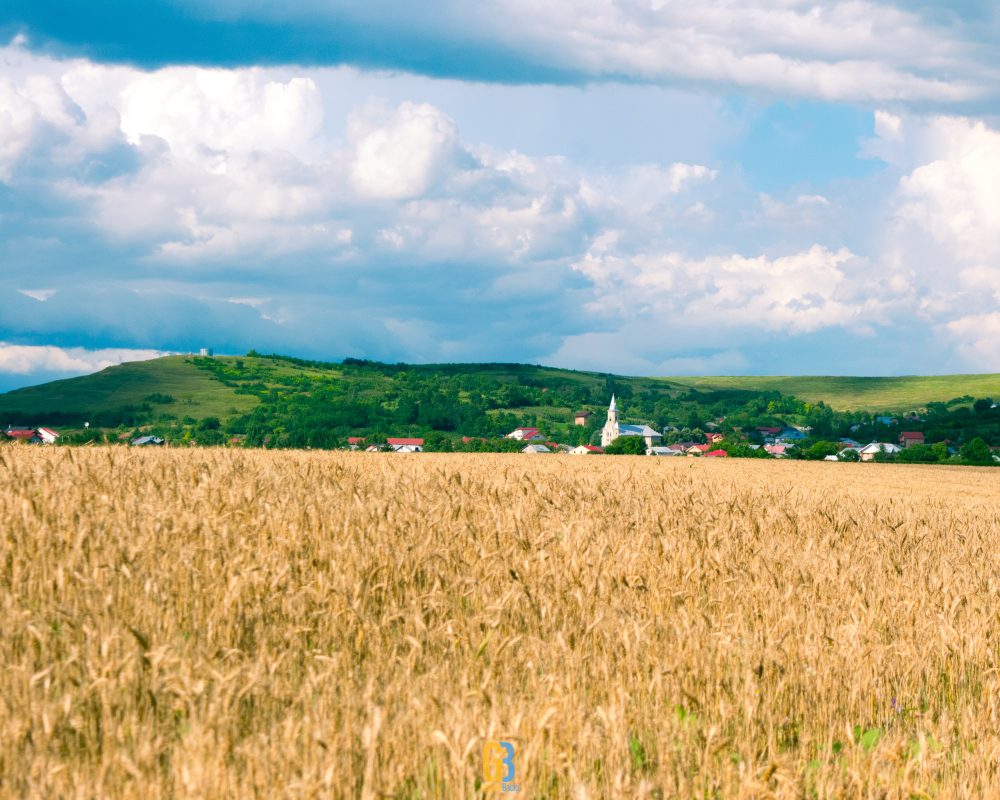 Romania, landscape