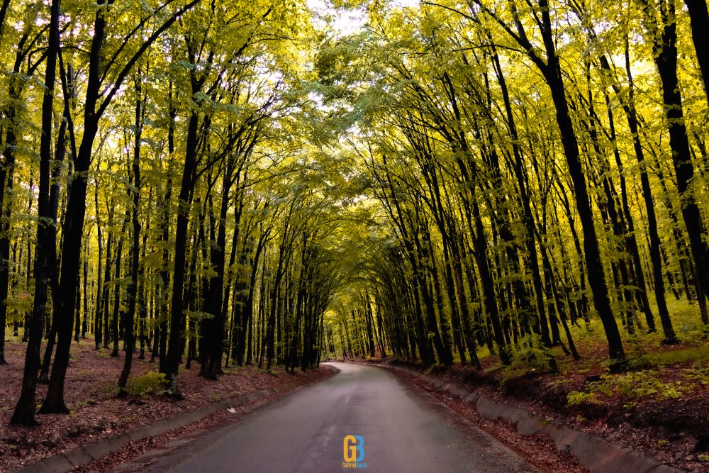 Romania