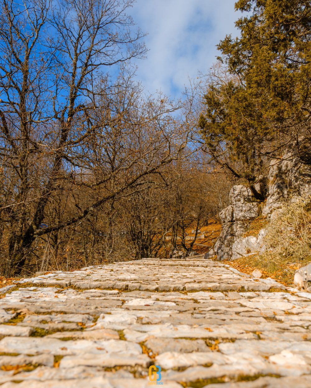 Vikos, Greece, 2025