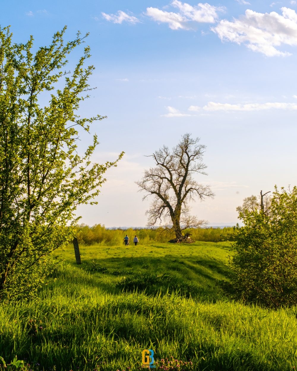 Landscape, Roman, Romania