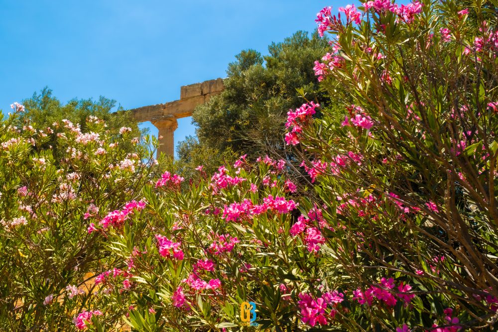 Agrigento, Sicily, Italy